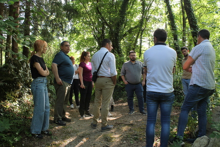 Podstenšek (3)
